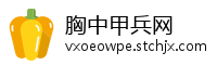 胸中甲兵网